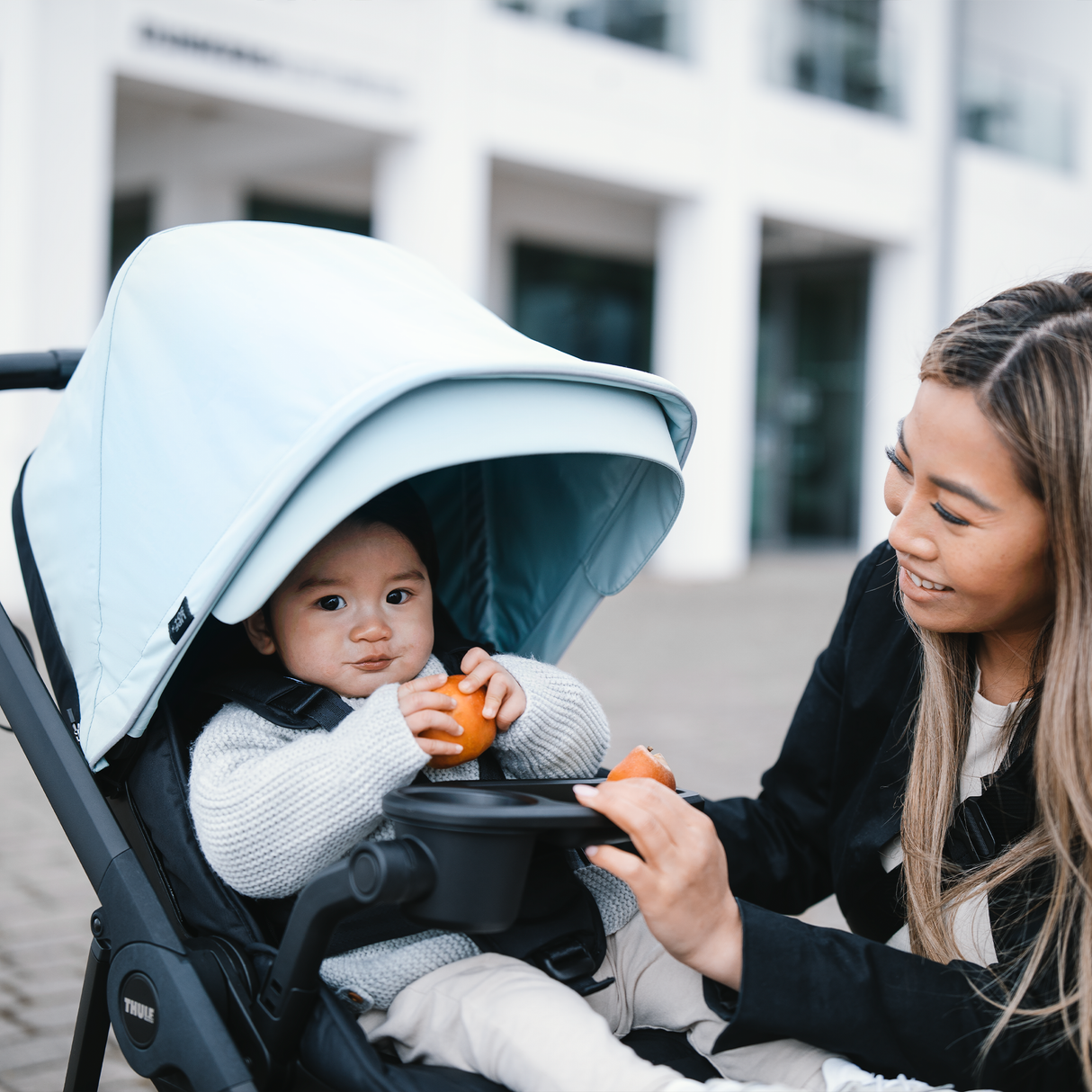 Thule Stroller Snack Tray Stroller