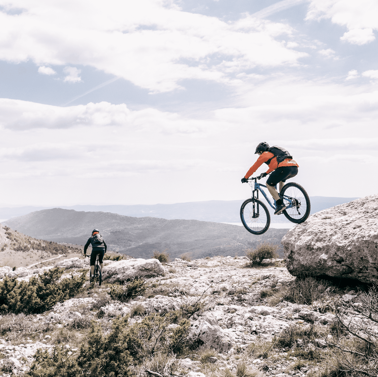 Thule Vital 3L Softgoods