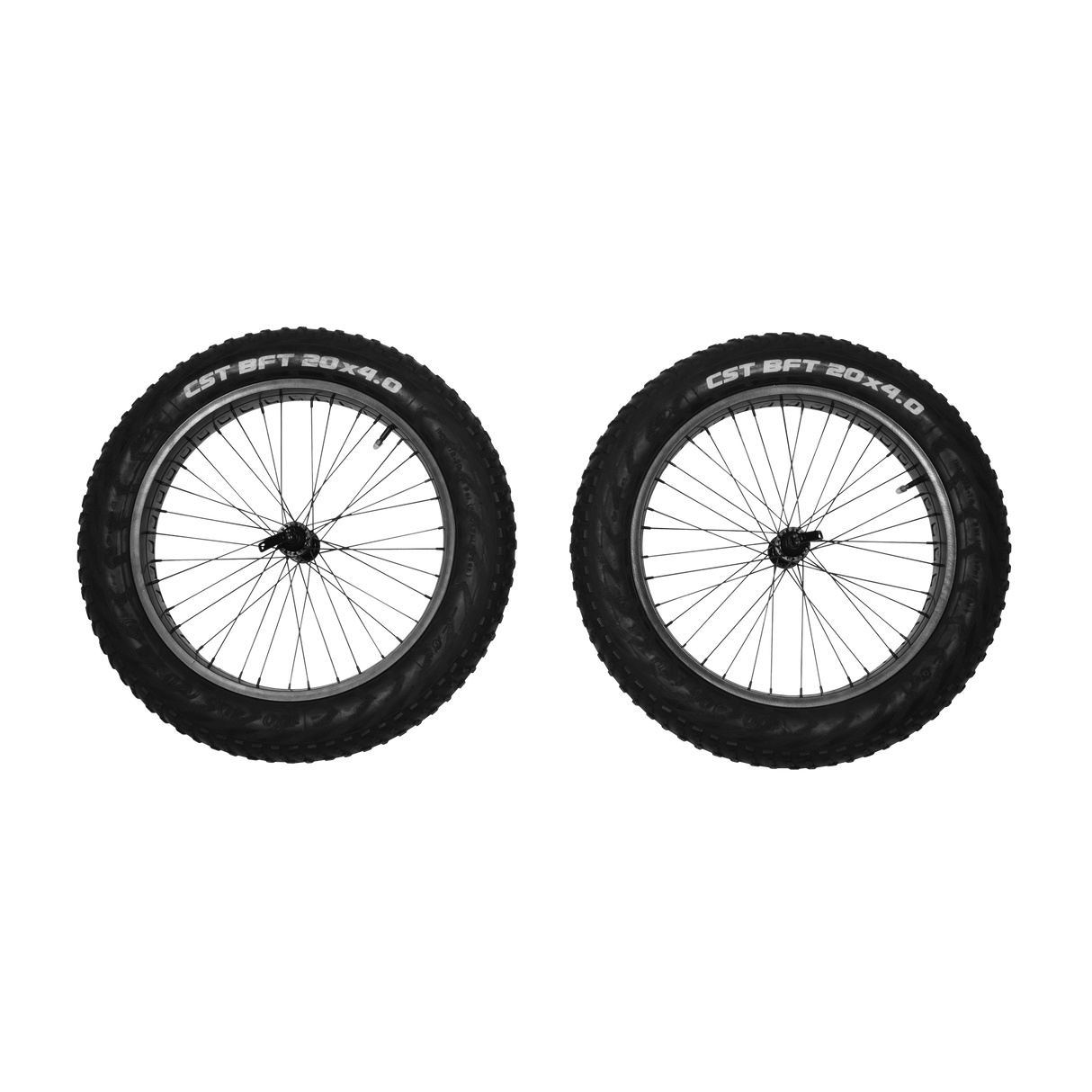Thule Reacha 20" Fat Tire Wheel Set Stroller