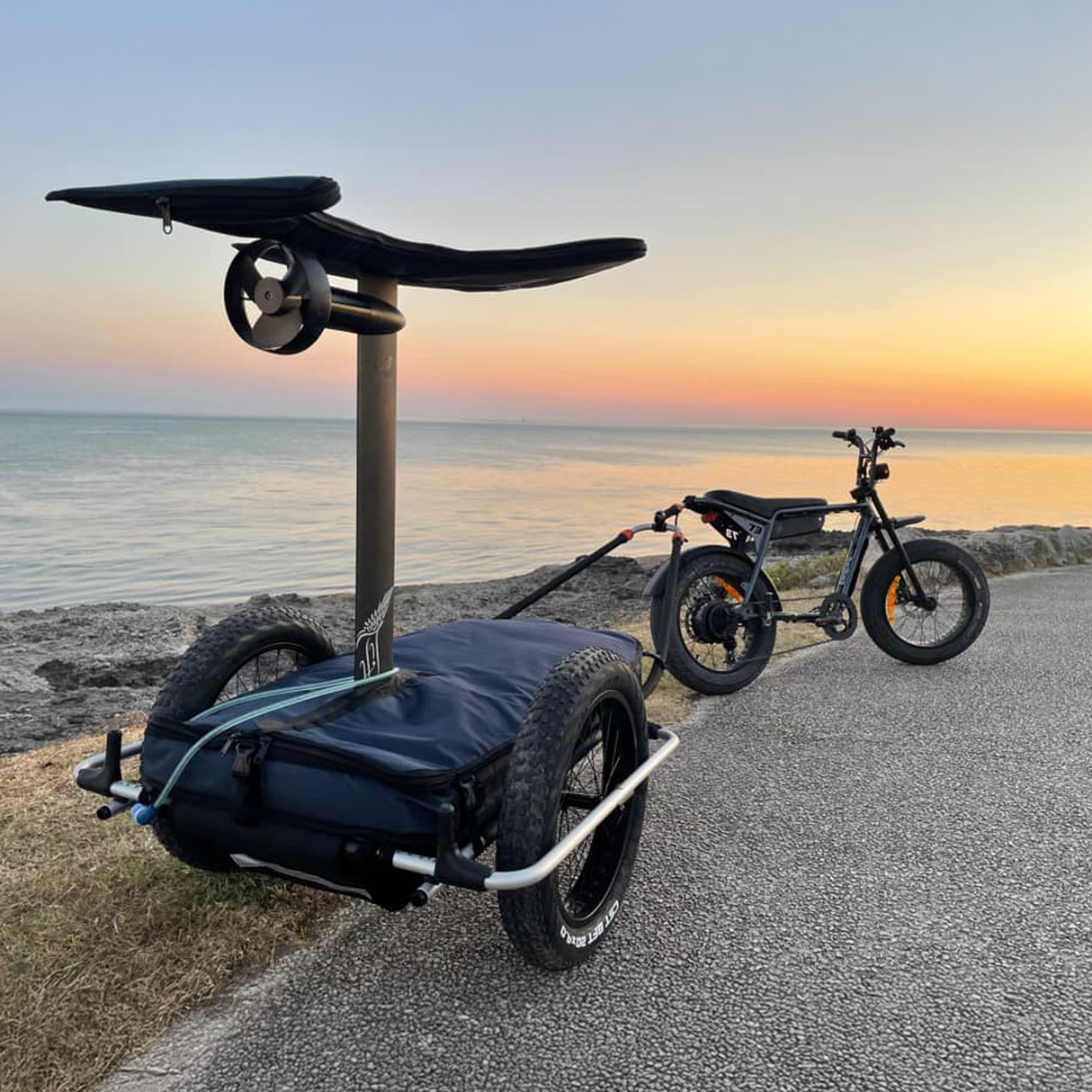 Thule Reacha Sport Beach Stroller