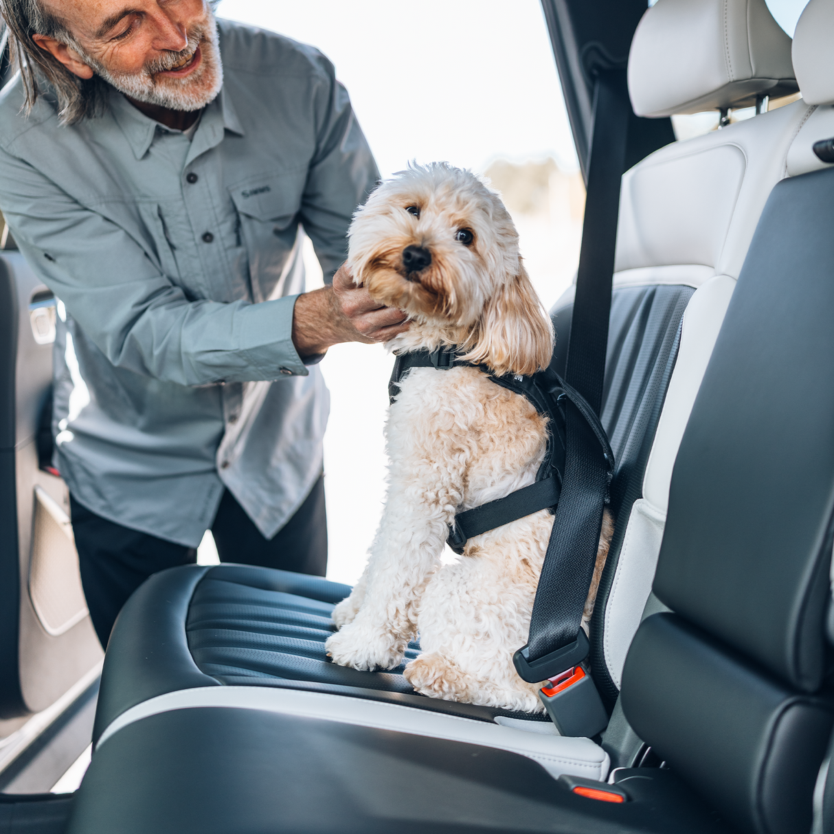 Thule Cappy Pet