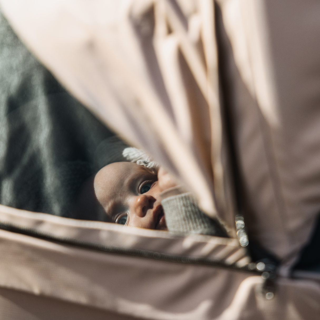 Thule Urban Glide 4 Wheel - With Magnetic Straps - 10101996 Stroller