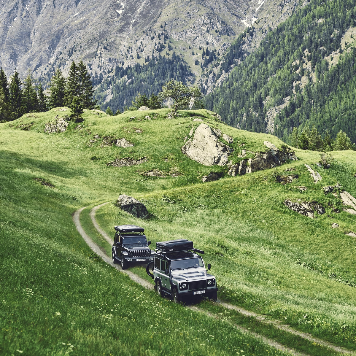 Thule Basin Rooftop Tents