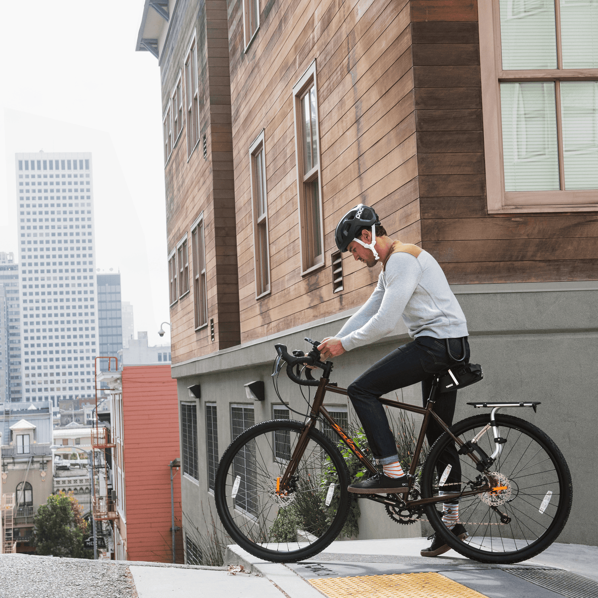Thule Smartphone Bike Mount Cargo Management