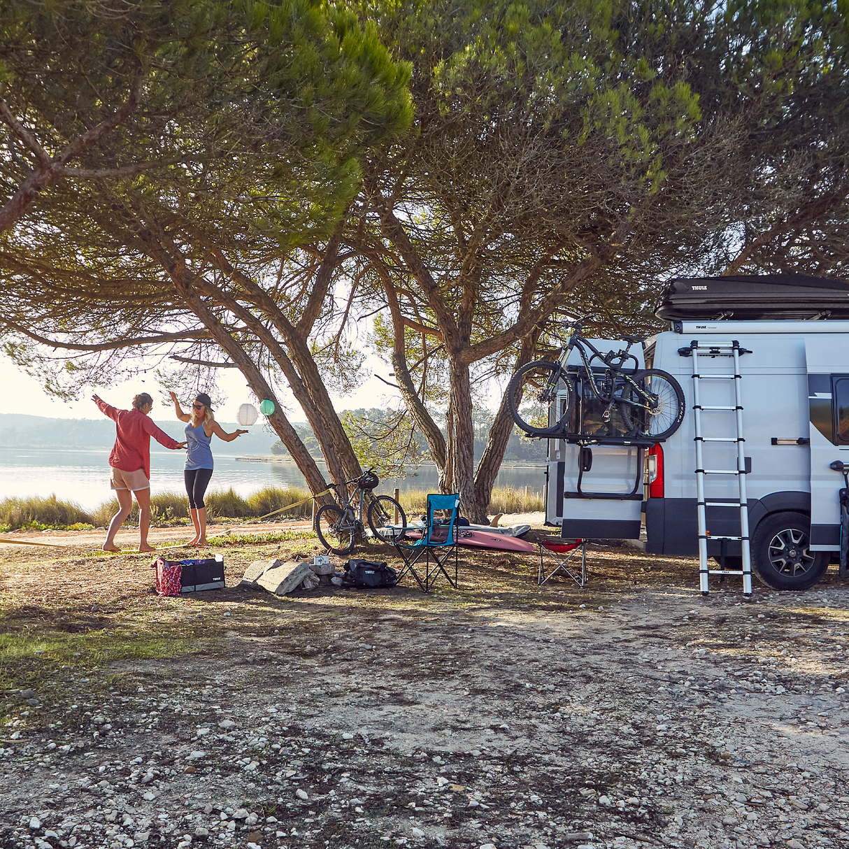 Thule Elite Van XT | Fiat Ducato, Citroen Jumper, Peugeot Boxer, RAM Pro Master - 302013 Bike Racks