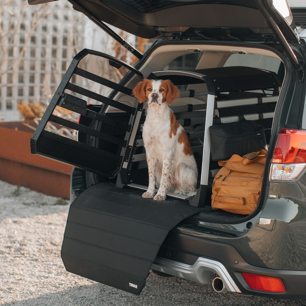 Thule Dog Crate Leash Hook Pet