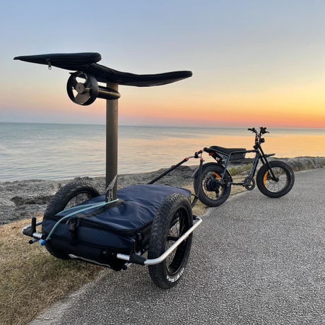 Thule Reacha Sport Beach Stroller