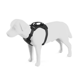 Thule Cappy Pet