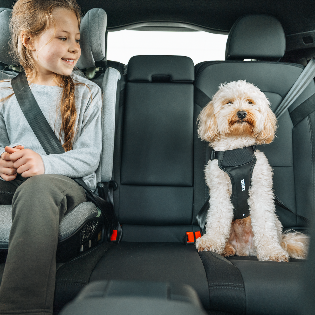 Thule Cappy Pet