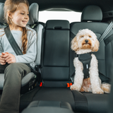 Thule Cappy Pet