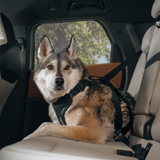 Thule Cappy Pet