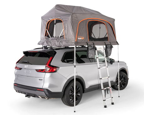 Roofnest Meadowlark XL Rooftop Tents - Modula Racks