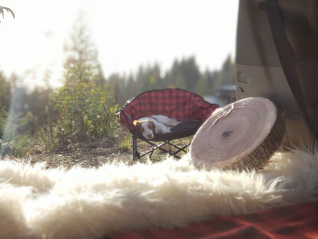 Kuma Outdoor Gear Lazy Dog Bed Camp Furniture