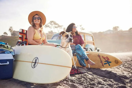 Kuma Outdoor Gear Backtrack Camp Furniture