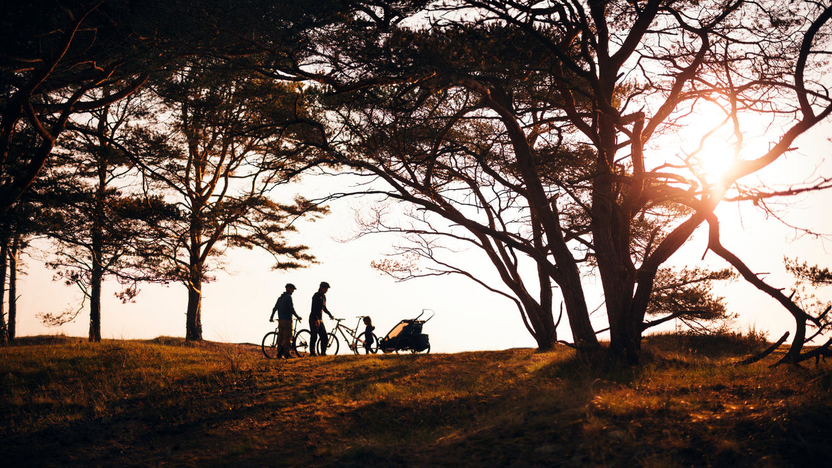 Thule Chariot Cross 2 Single Bike Rack Accessories