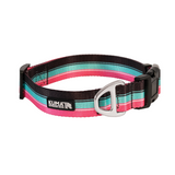 Kuma Outdoor Gear Backtrack Dog Collar 