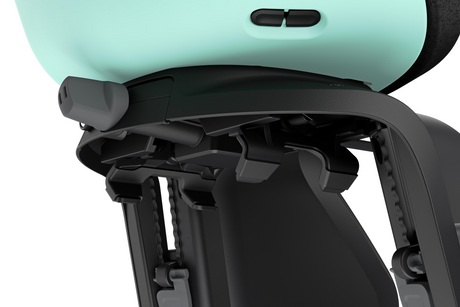 Thule Yepp Nexxt 2 Maxi Kids