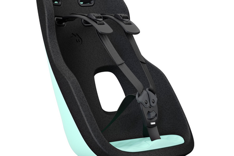 Thule Yepp Nexxt 2 Maxi Kids