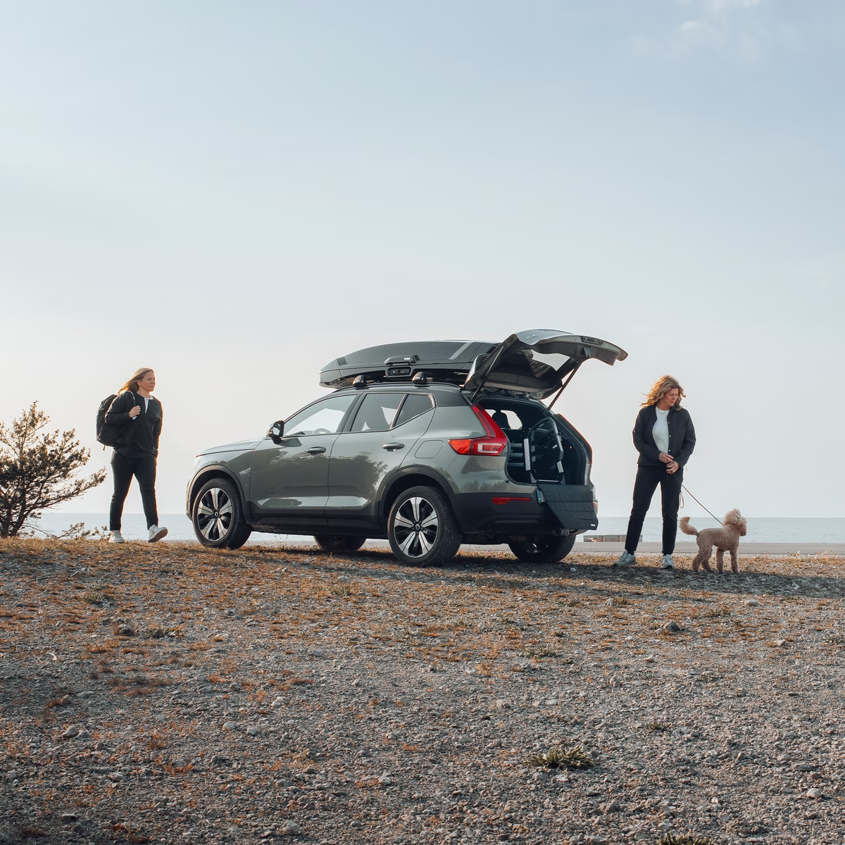 Thule Allax Pet Barriers