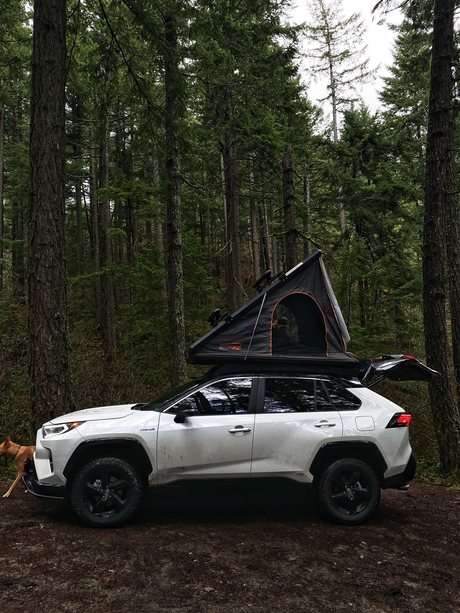 Prinsu Roof Rack | Toyota RAV4 2019+ Roof Rack Kit - Modula Racks